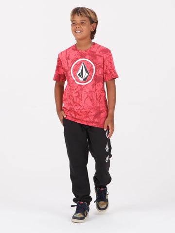 Volcom Big Boys Crisp Print Tee - Sockeye